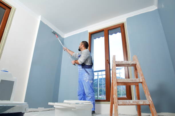 Best Attic Mold Removal  in Republic, WA