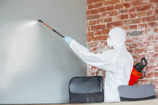 Best Asbestos and Lead Testing During Mold Inspection  in Republic, WA