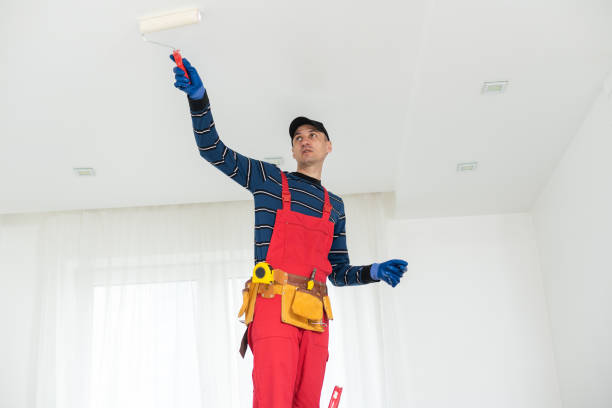 Best Dehumidification Services  in Republic, WA