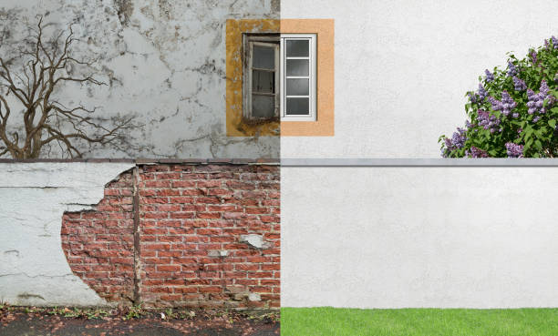 Best Emergency Mold Remediation  in Republic, WA