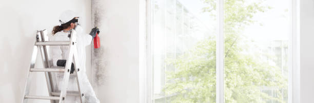 Best Mold-Related Health Consultation  in Republic, WA