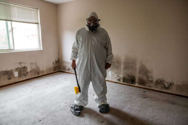 Best Water Damage & Mold Remediation  in Republic, WA